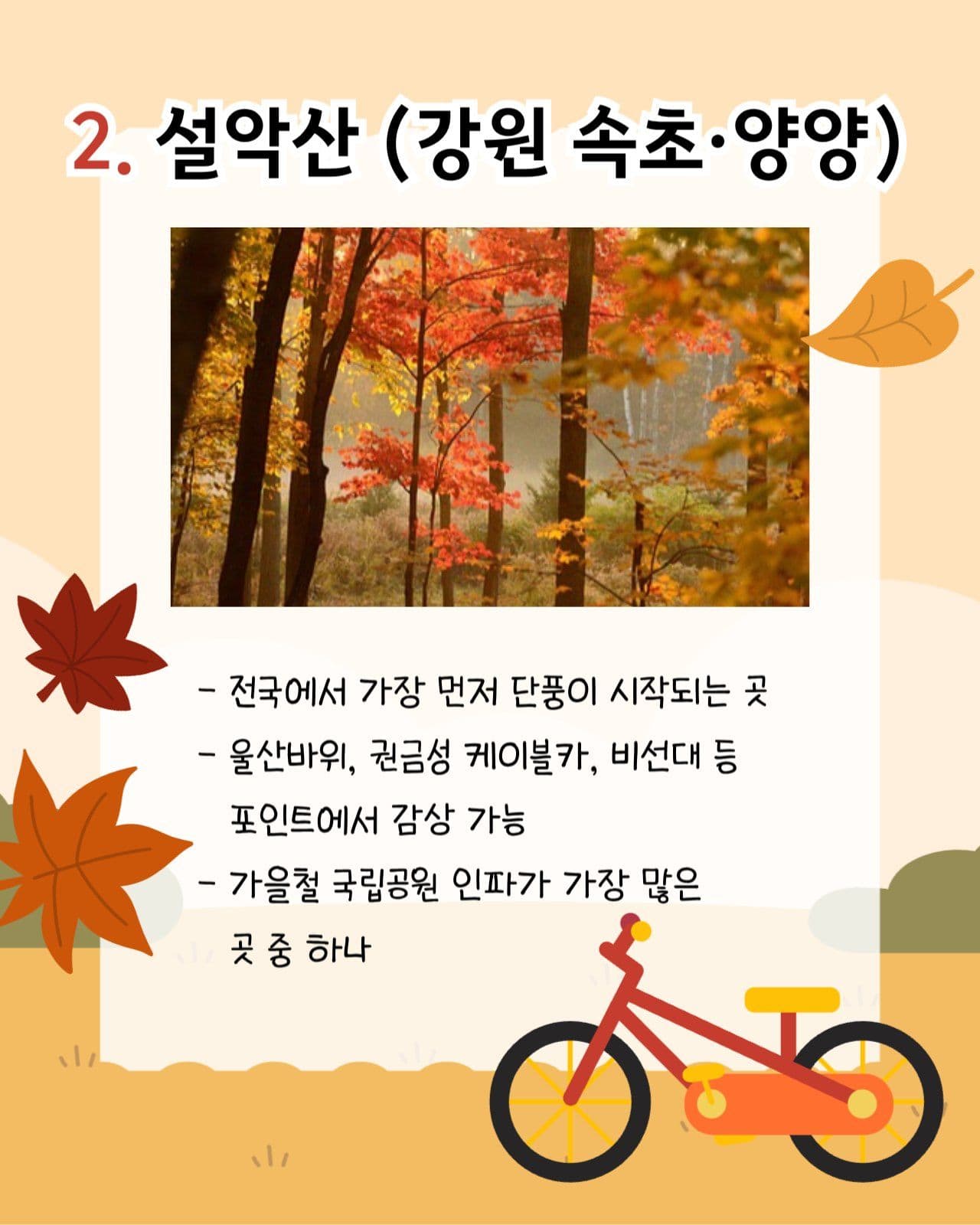 가을 단풍 국내 여행지 추천 카드뉴스
