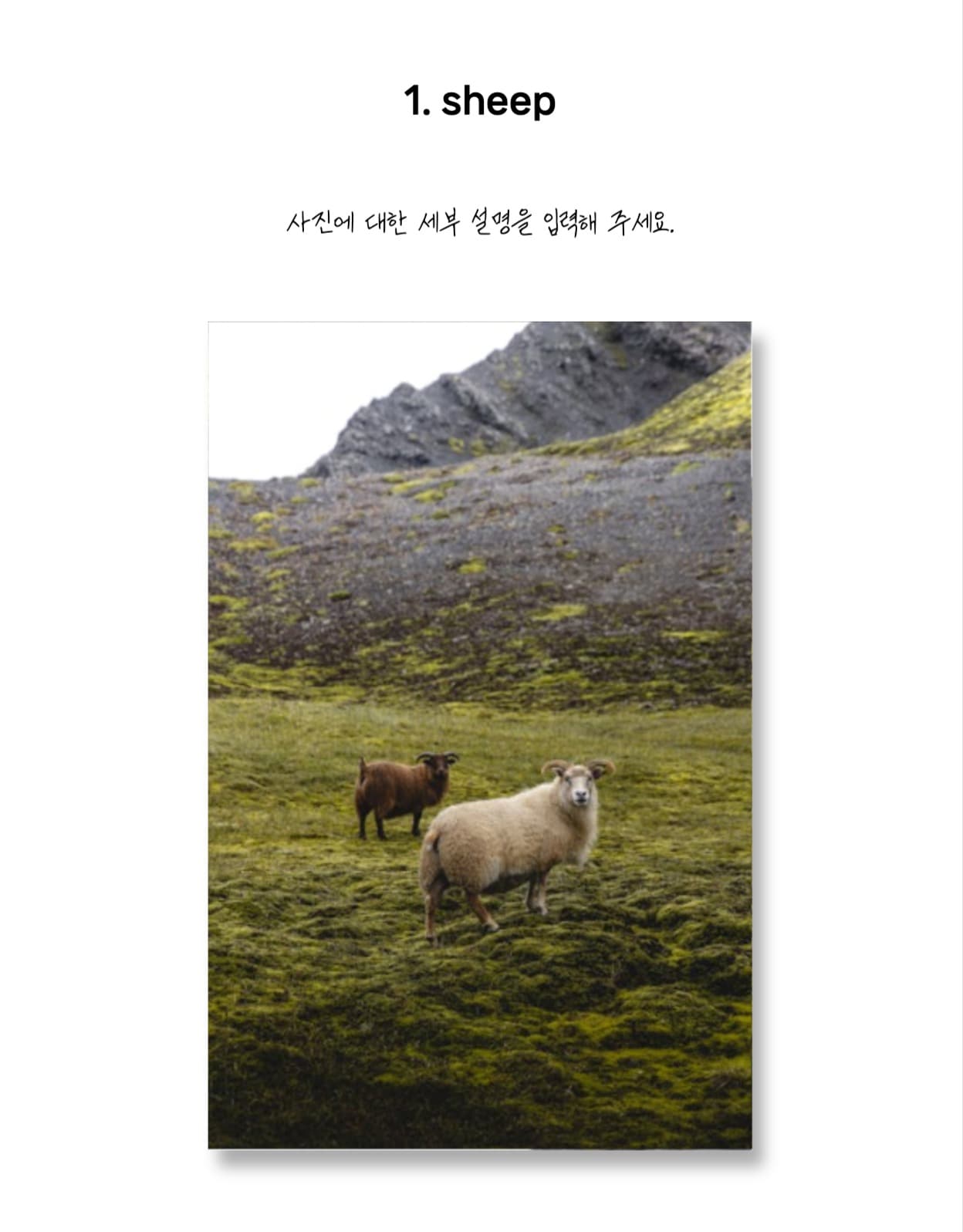 사진 포스터