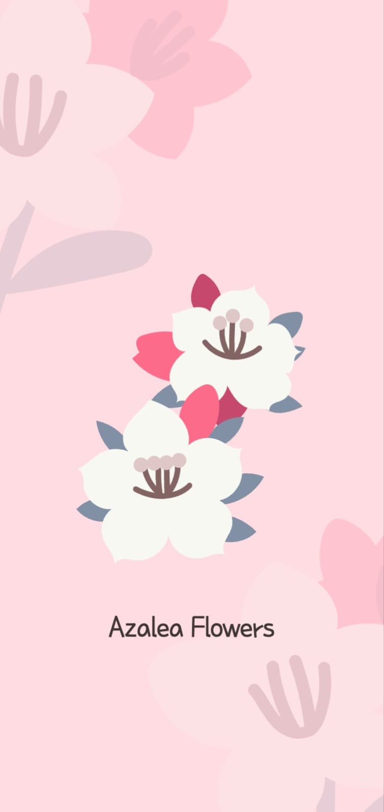Azalea Flowers