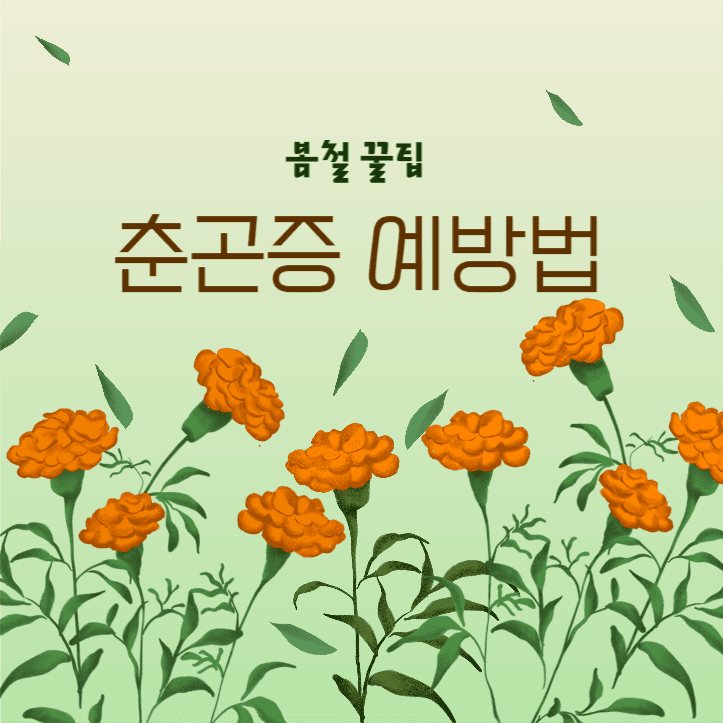 춘곤증 예방법 카드뉴스
