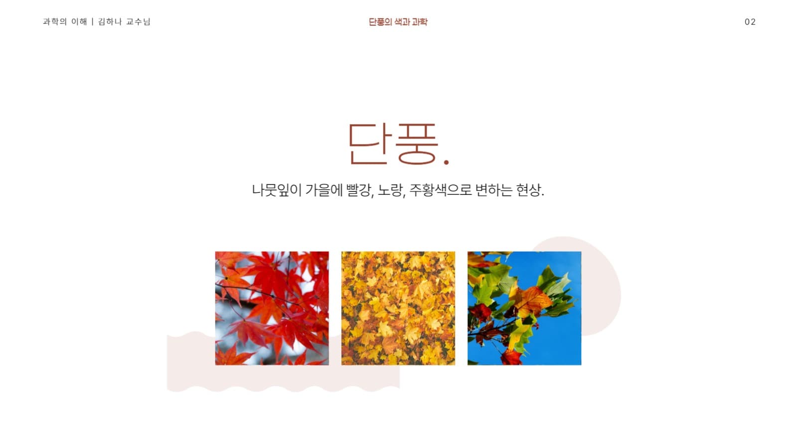 단풍 테마 발표 프레젠테이션