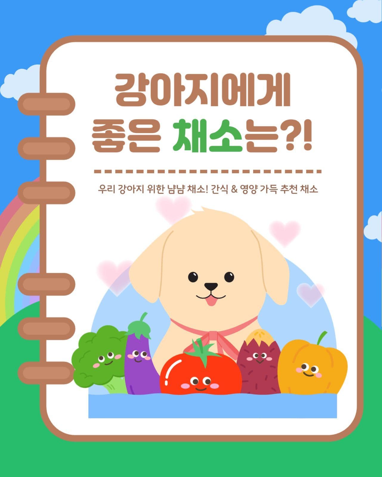 강아지에게 좋은 채소