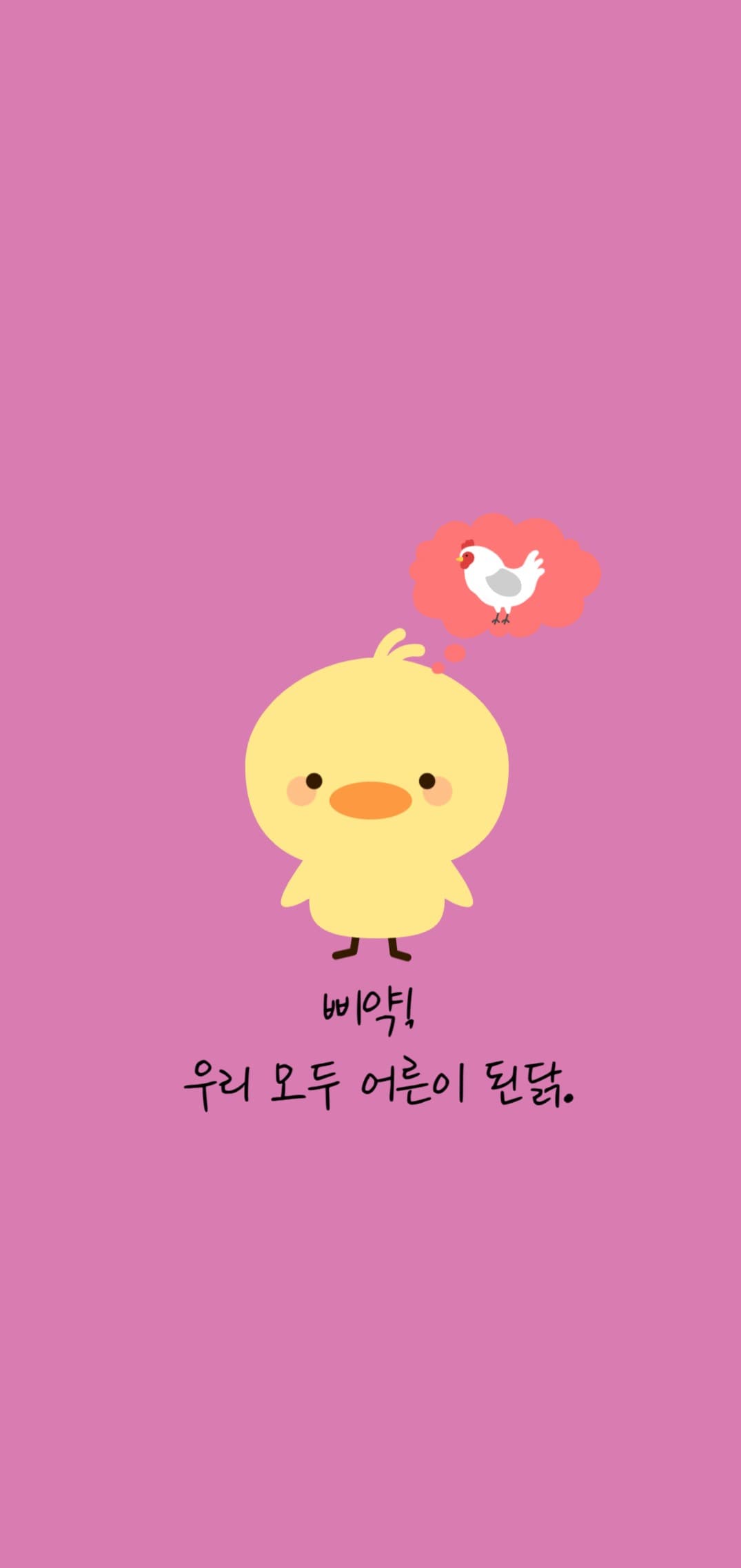 어른 병아리
