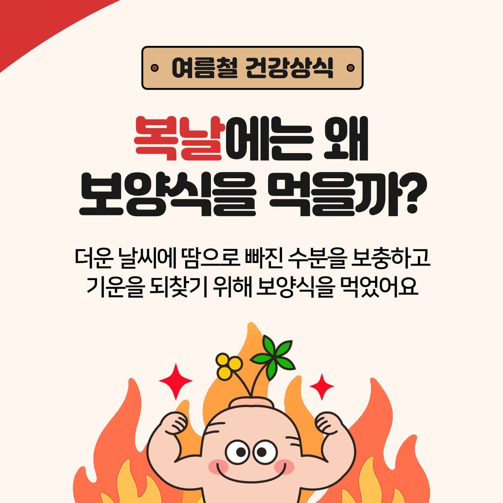 복날 건강상식