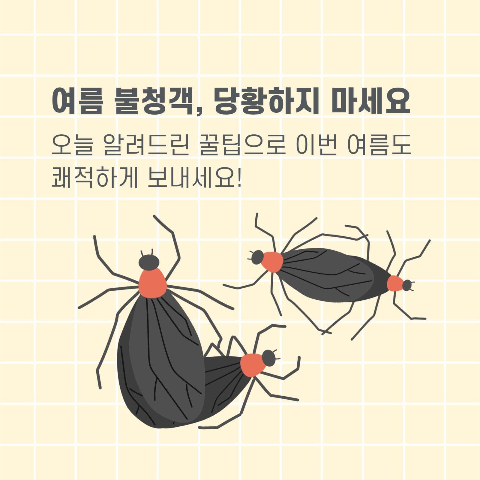 러브버그 카드뉴스