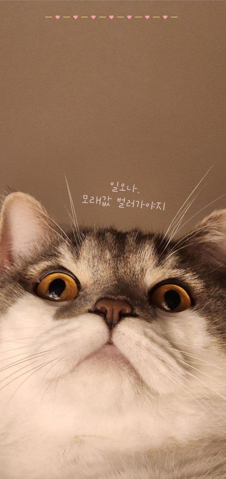 모래값벌러가야지