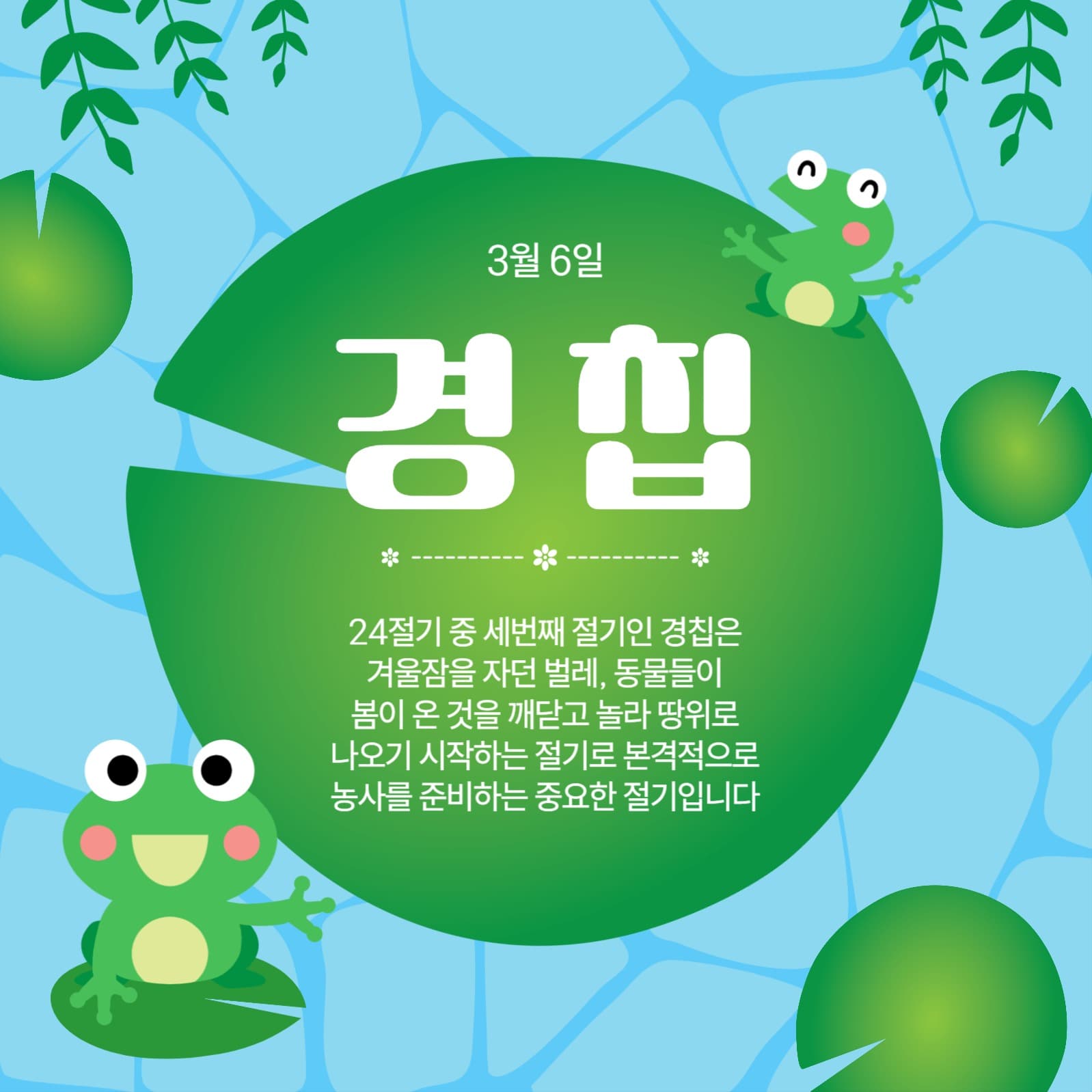 연못개구리경칩