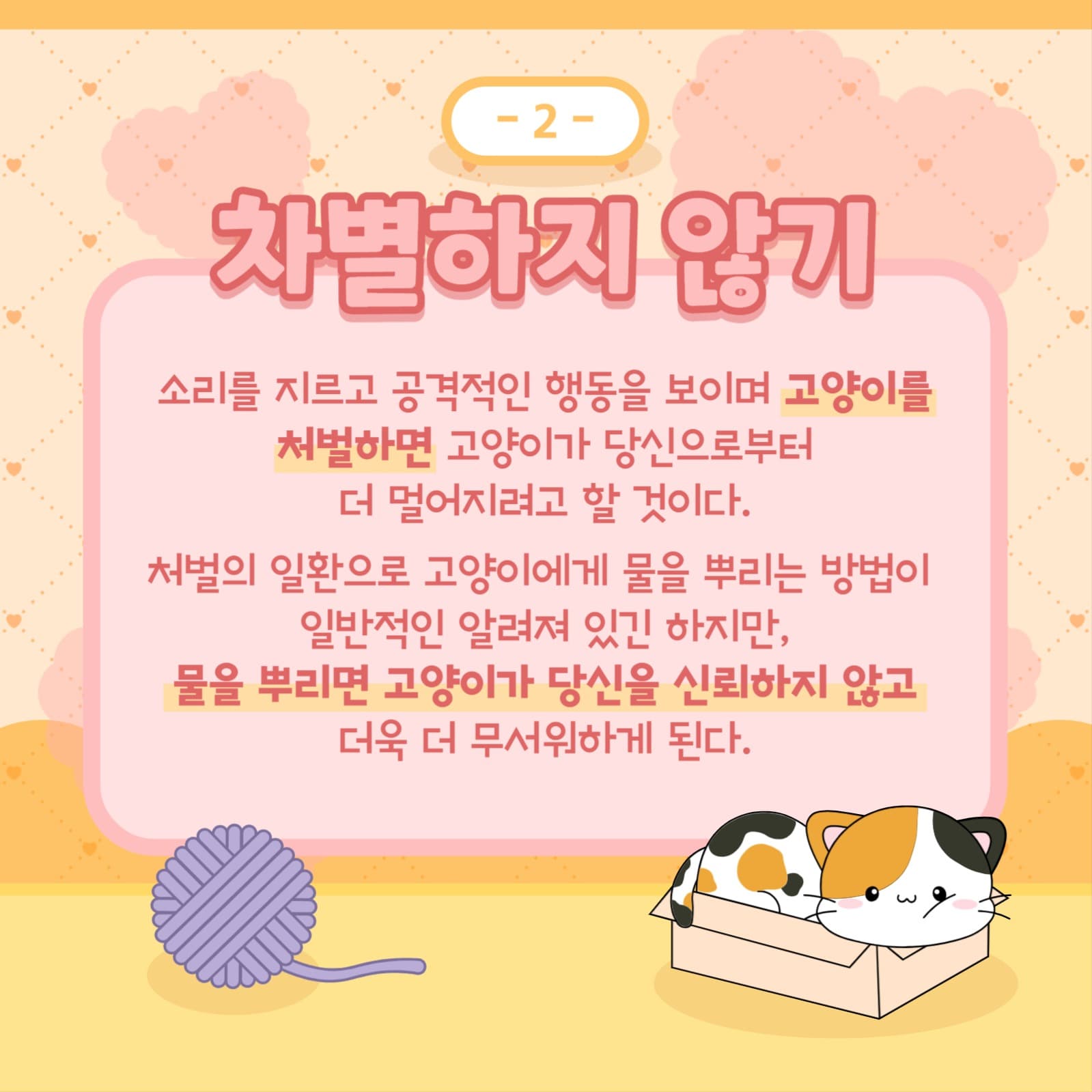 반려묘 템플릿