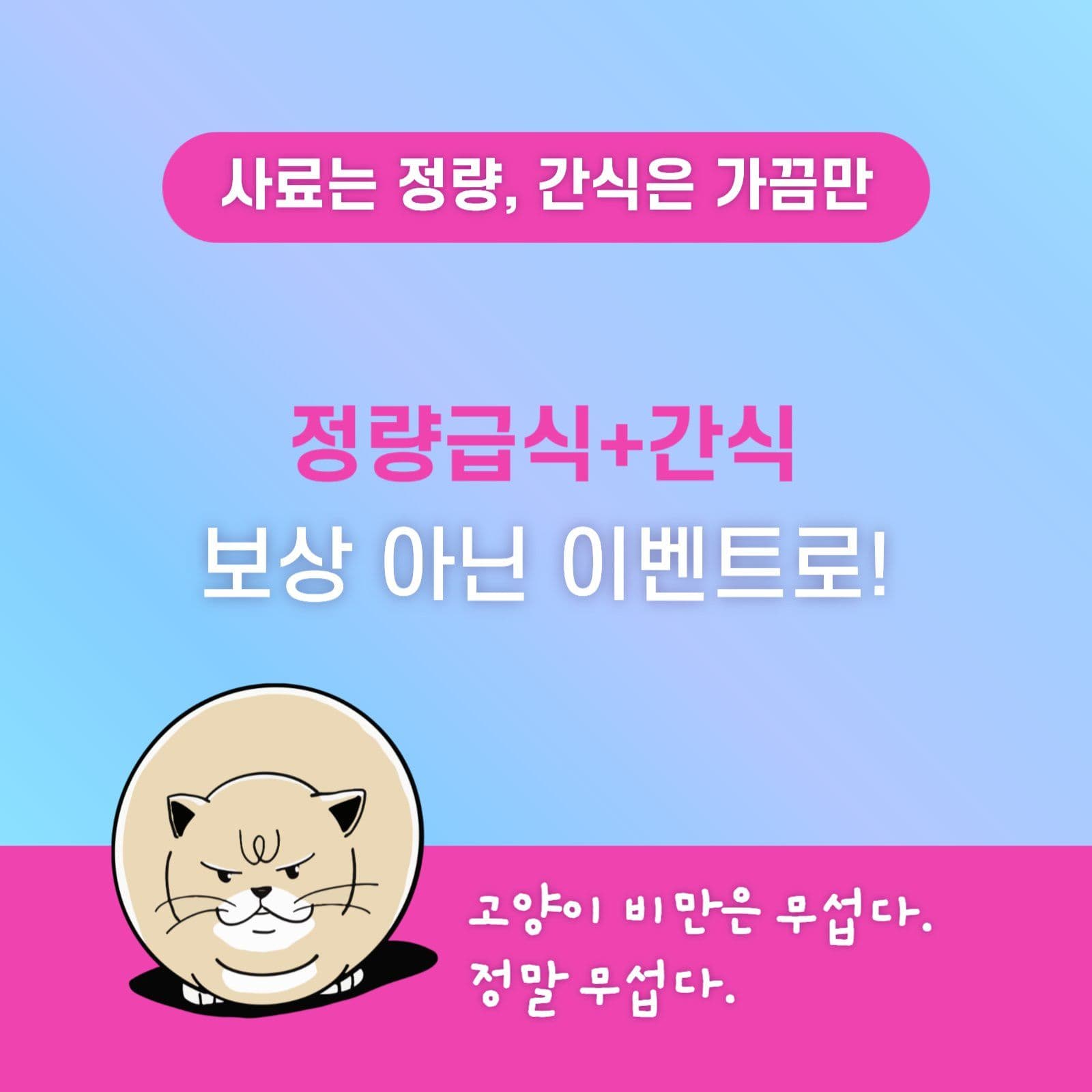 고양이와 집사