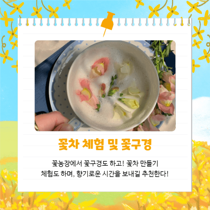 봄에는 봄꽃여행 (카드뉴스)