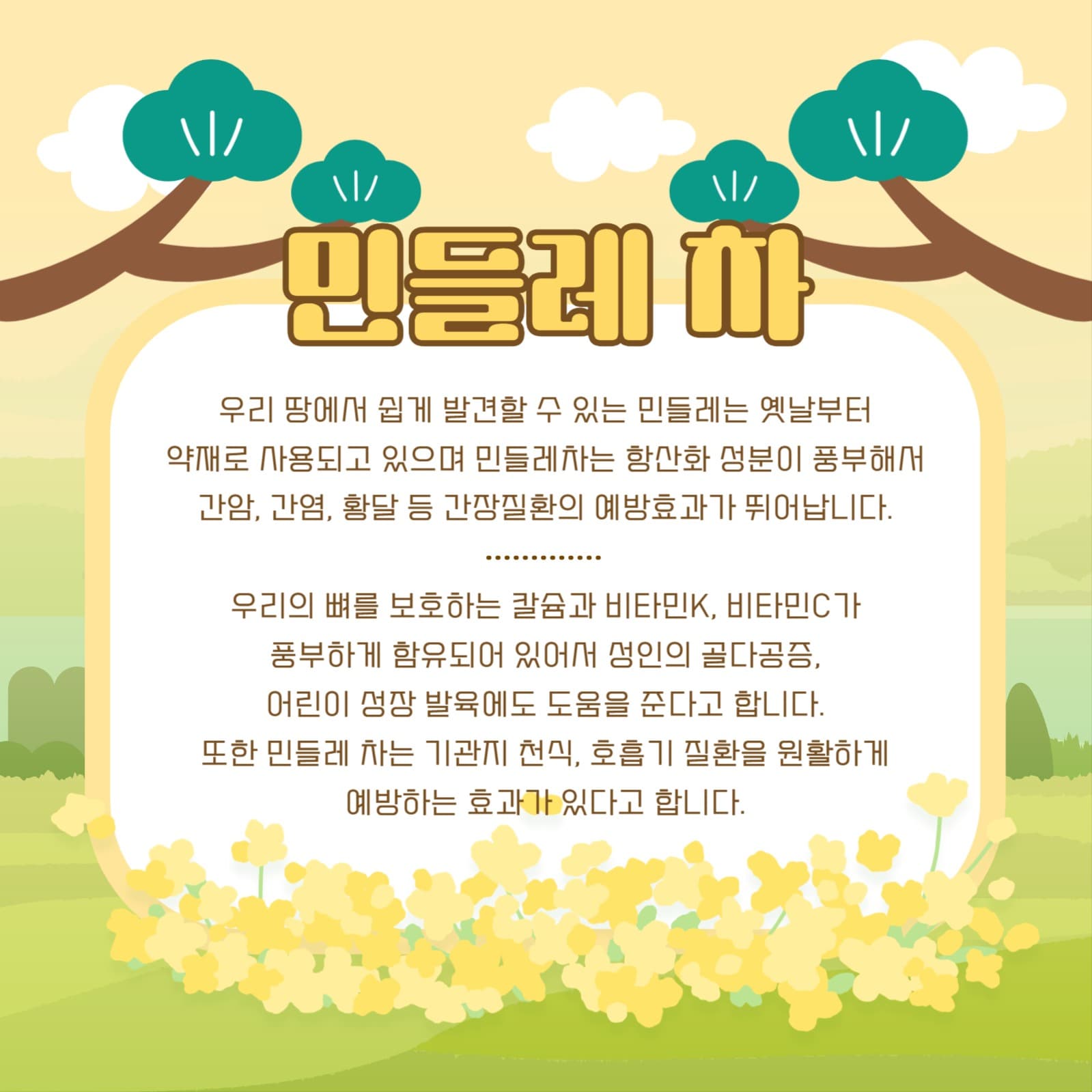 꽃 차의 효능