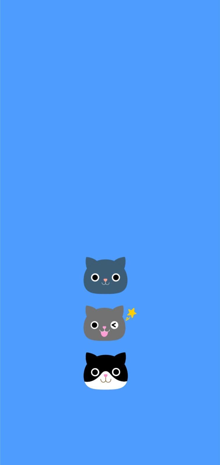 세 고양이