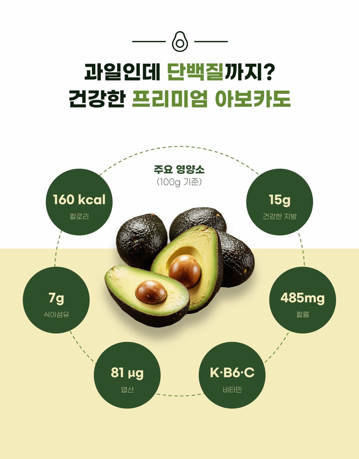 아보카도 과일 신선식품 상세페이지