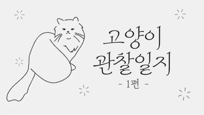 고양이 관찰일지 유튜브 썸네일