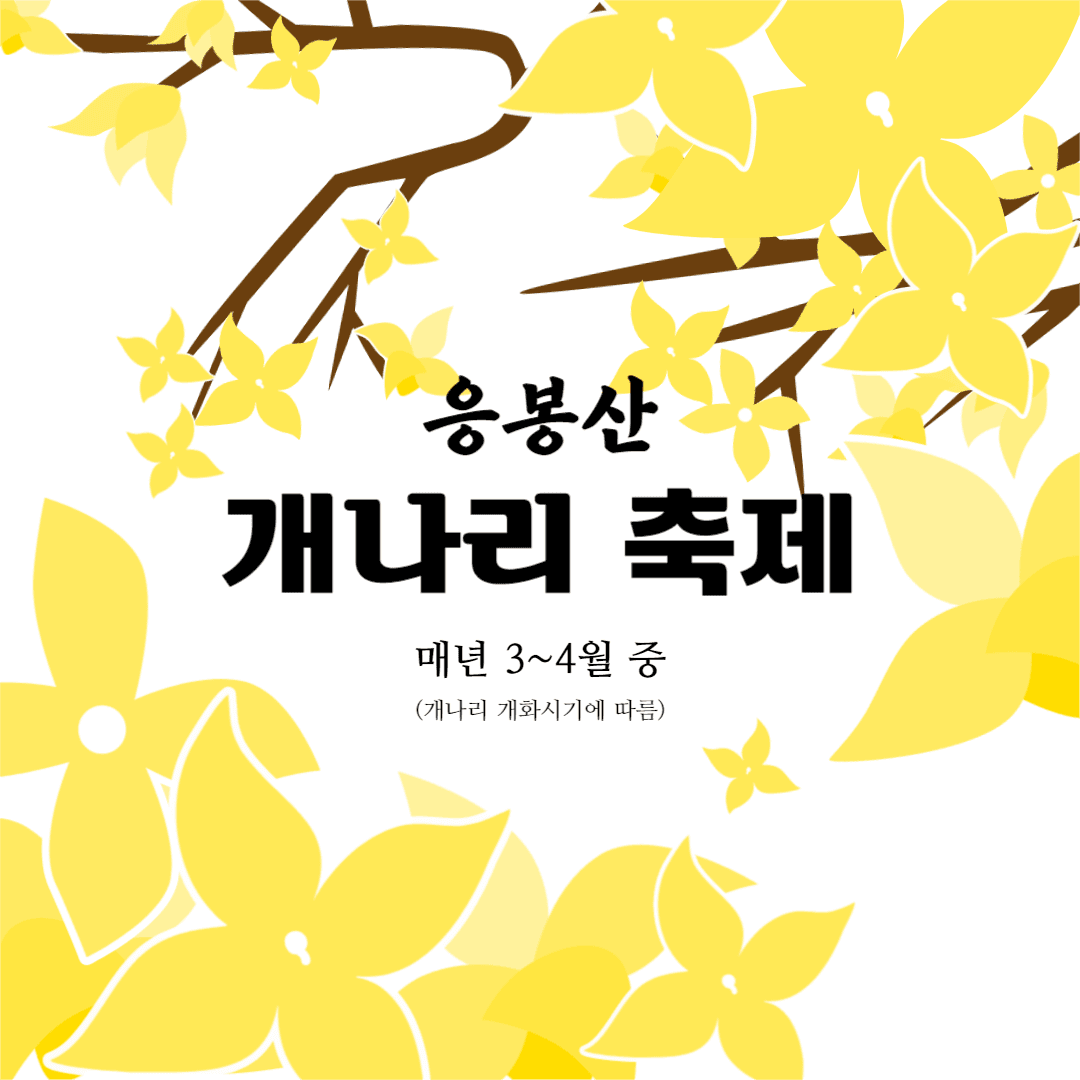 응봉산 개나리 축제
