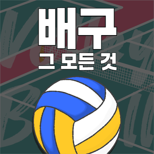배구 관련 피드