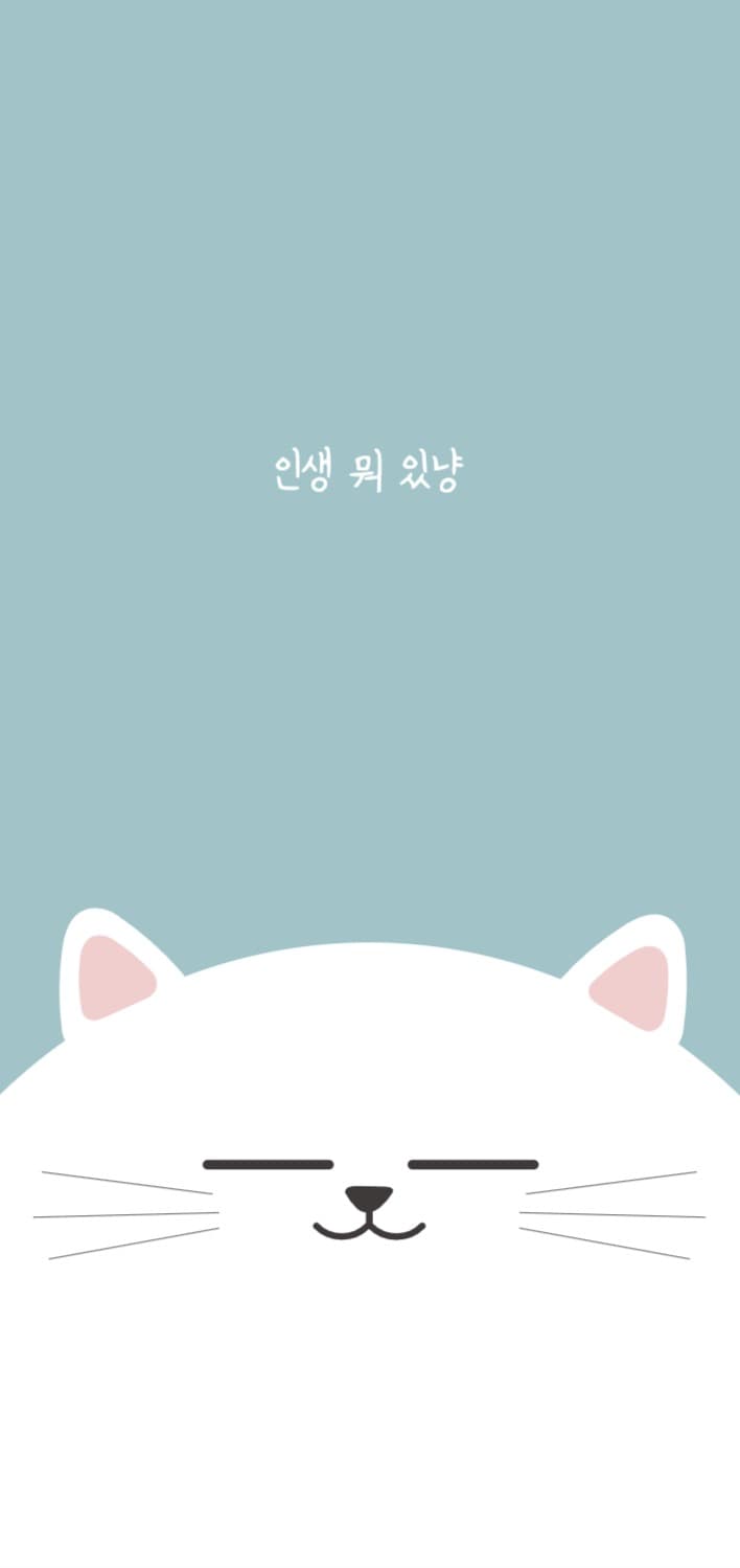 인생뭐있냥 고양이 배경화면