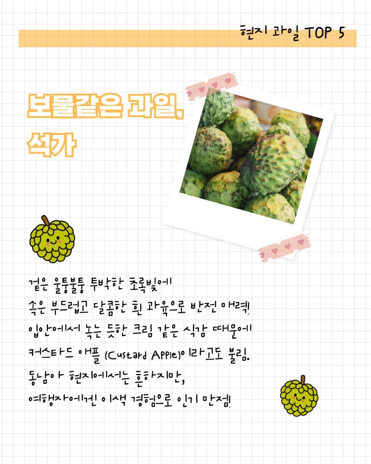 여행지 현지 과일 소개 세로 카드뉴스