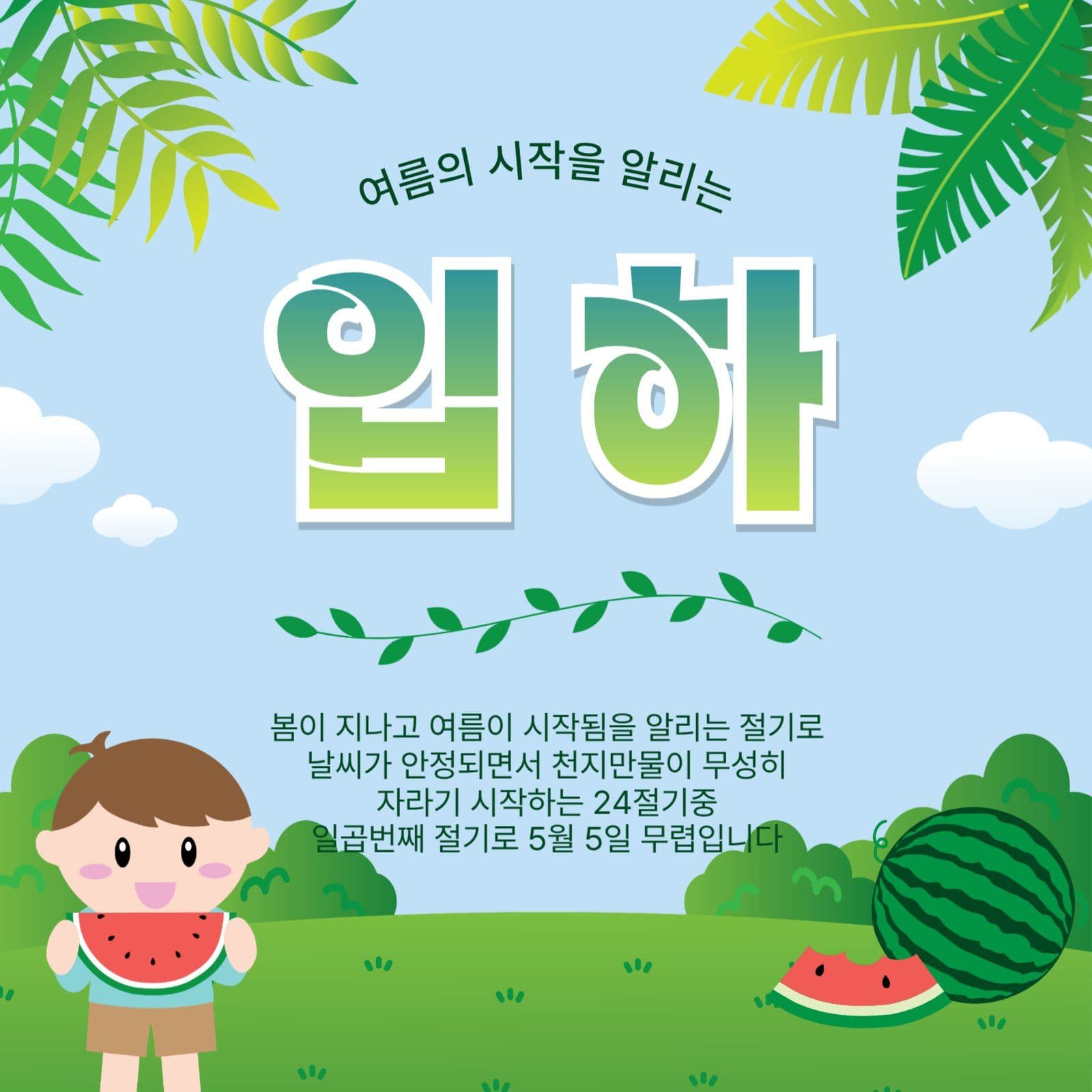 여름의시작입하