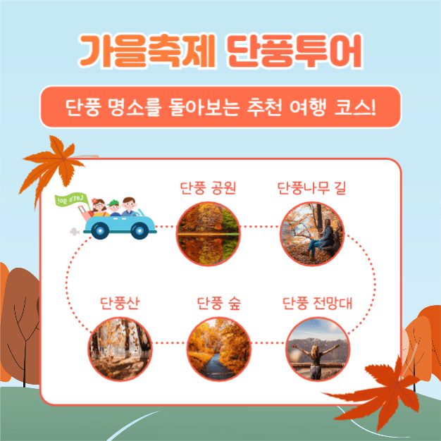 가을축제 단풍투어 (카드뉴스)