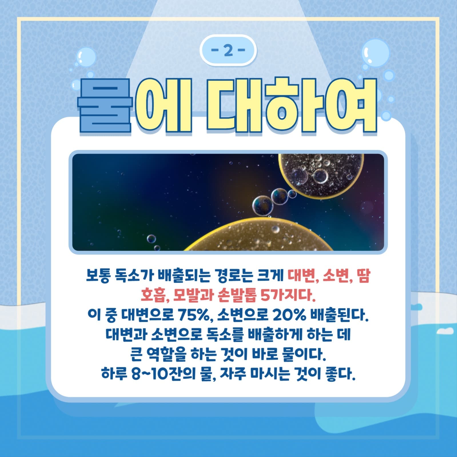 물 템플릿