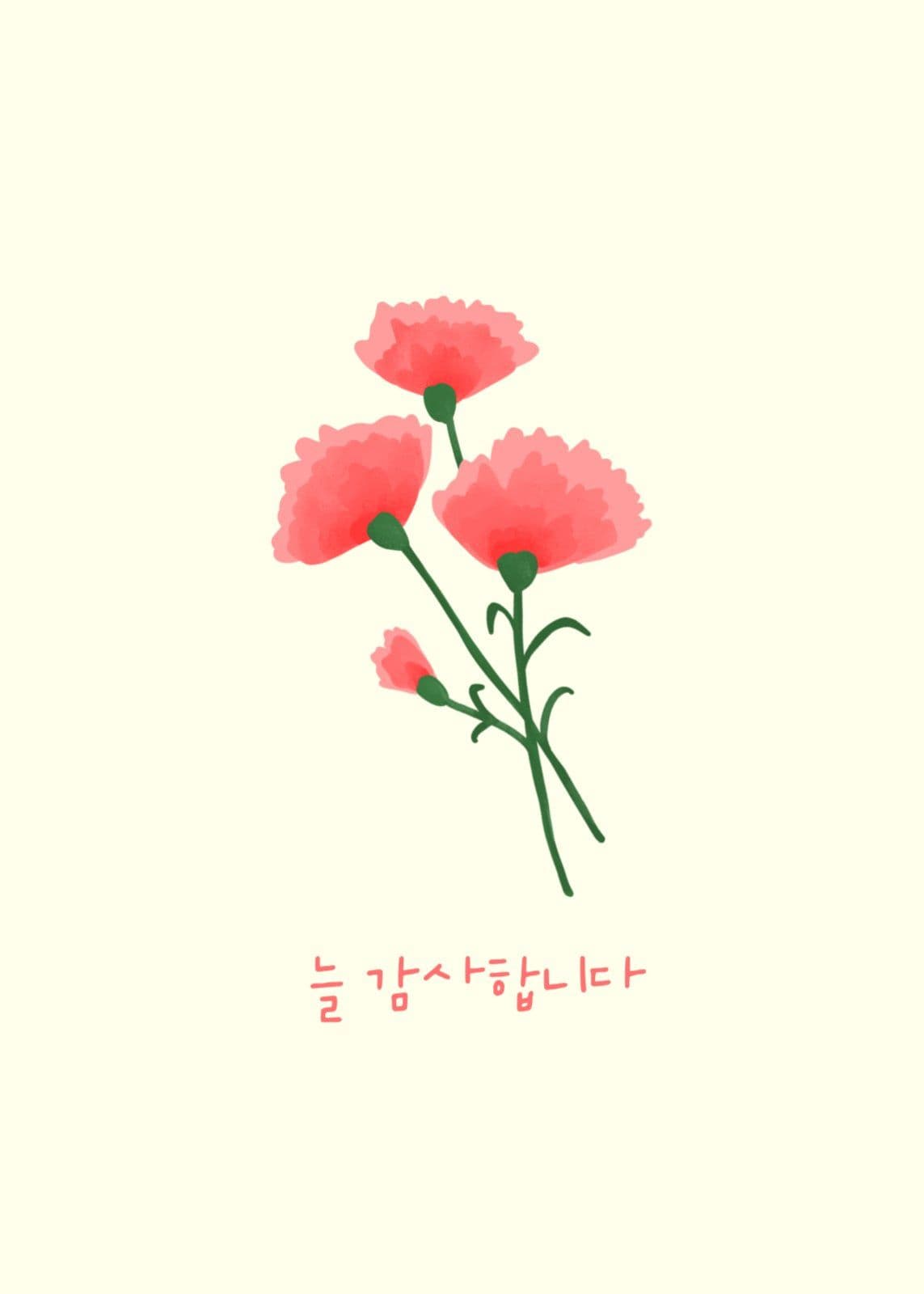 카네이션 감사 엽서 카드
