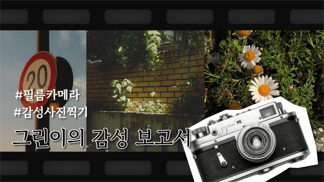 유튜브썸네일_감성필름카메라