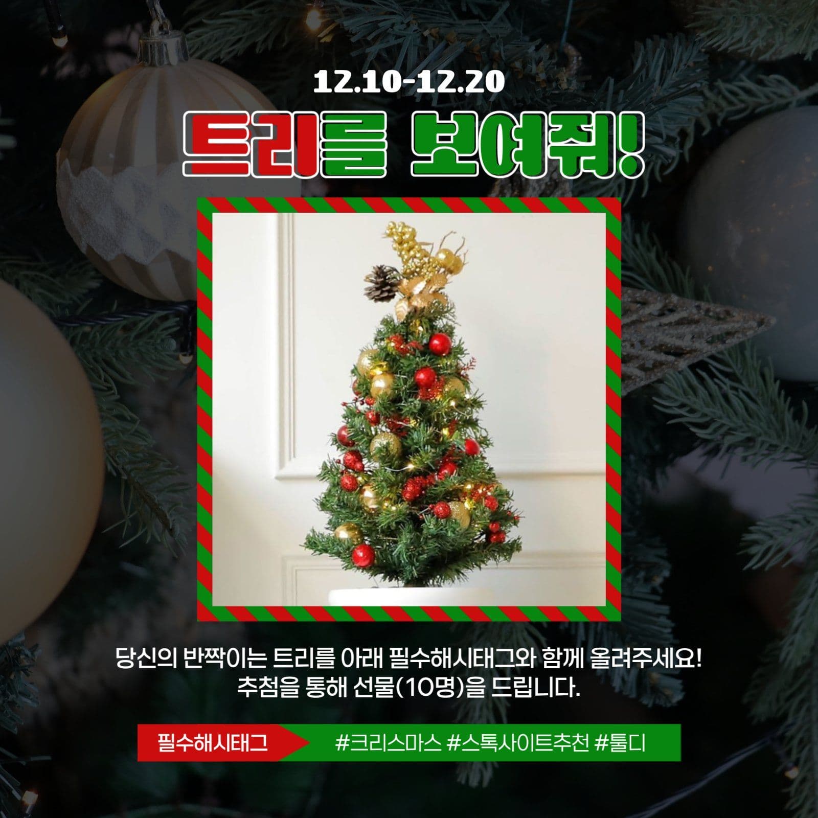 크리스마스이벤트 트리를 보여줘!