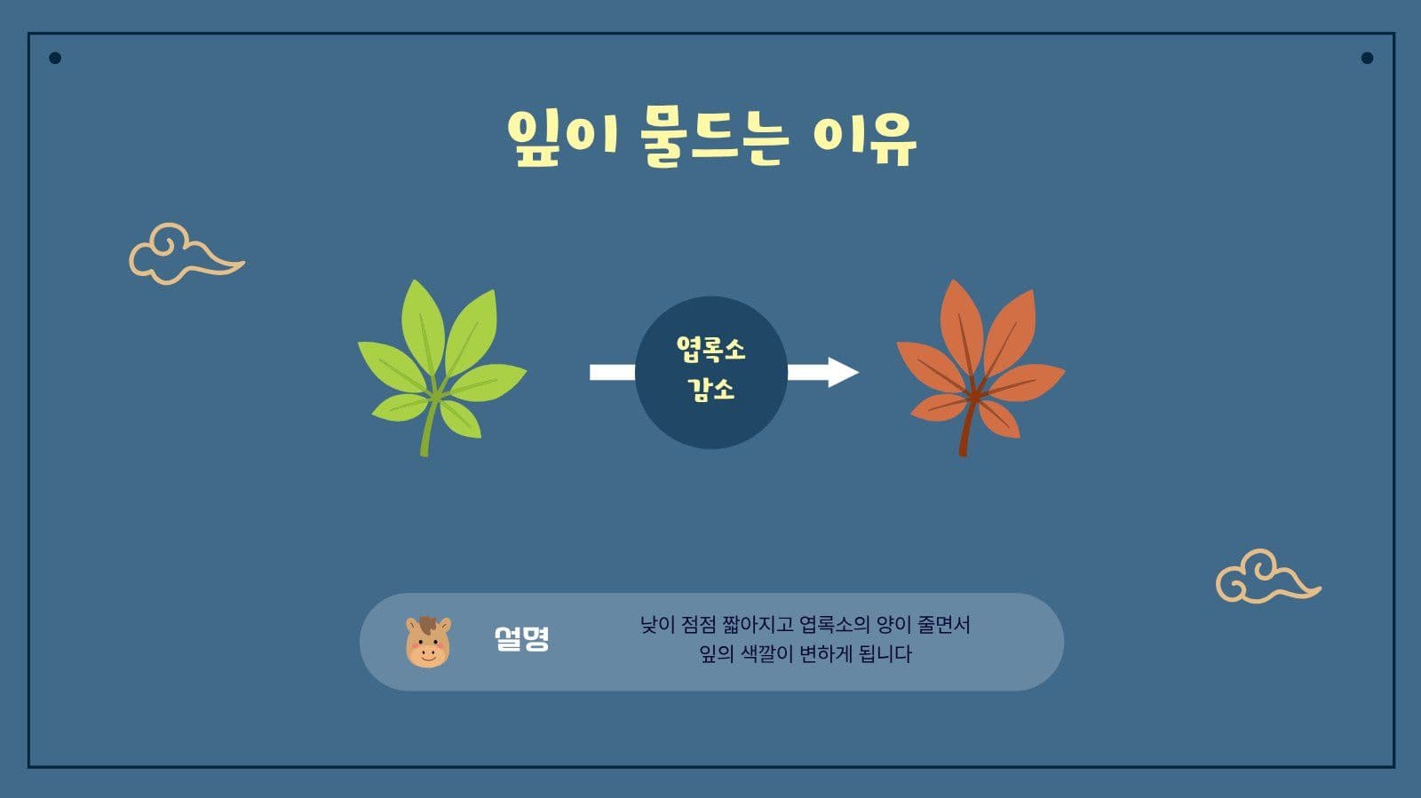 가을과 친해지기 상식 학습 PPT