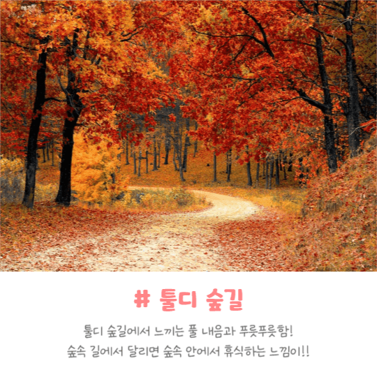 드라이브 명소 추천 (카드뉴스)