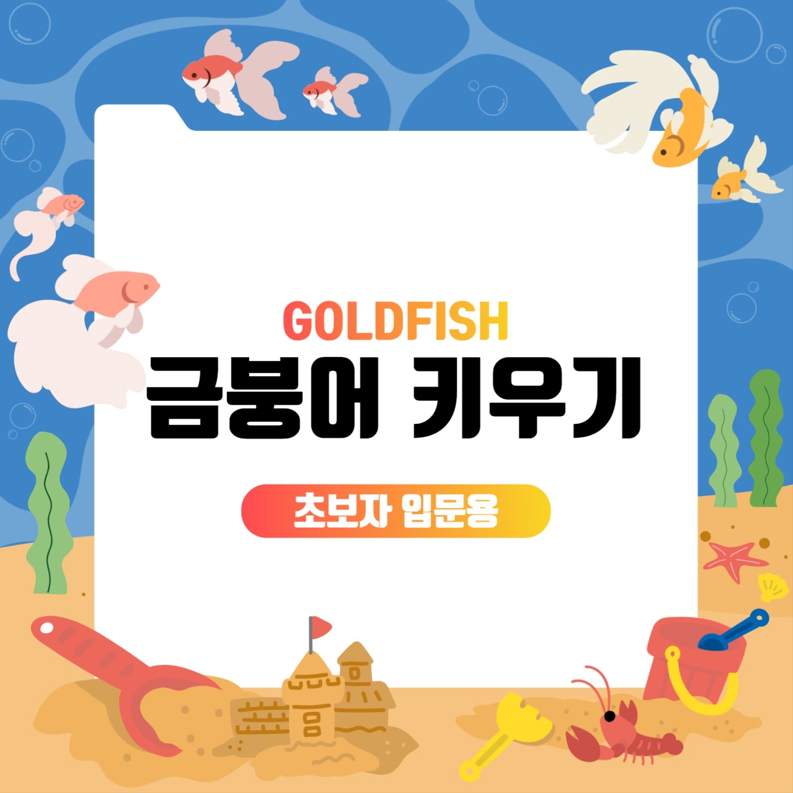 금붕어 키우기 