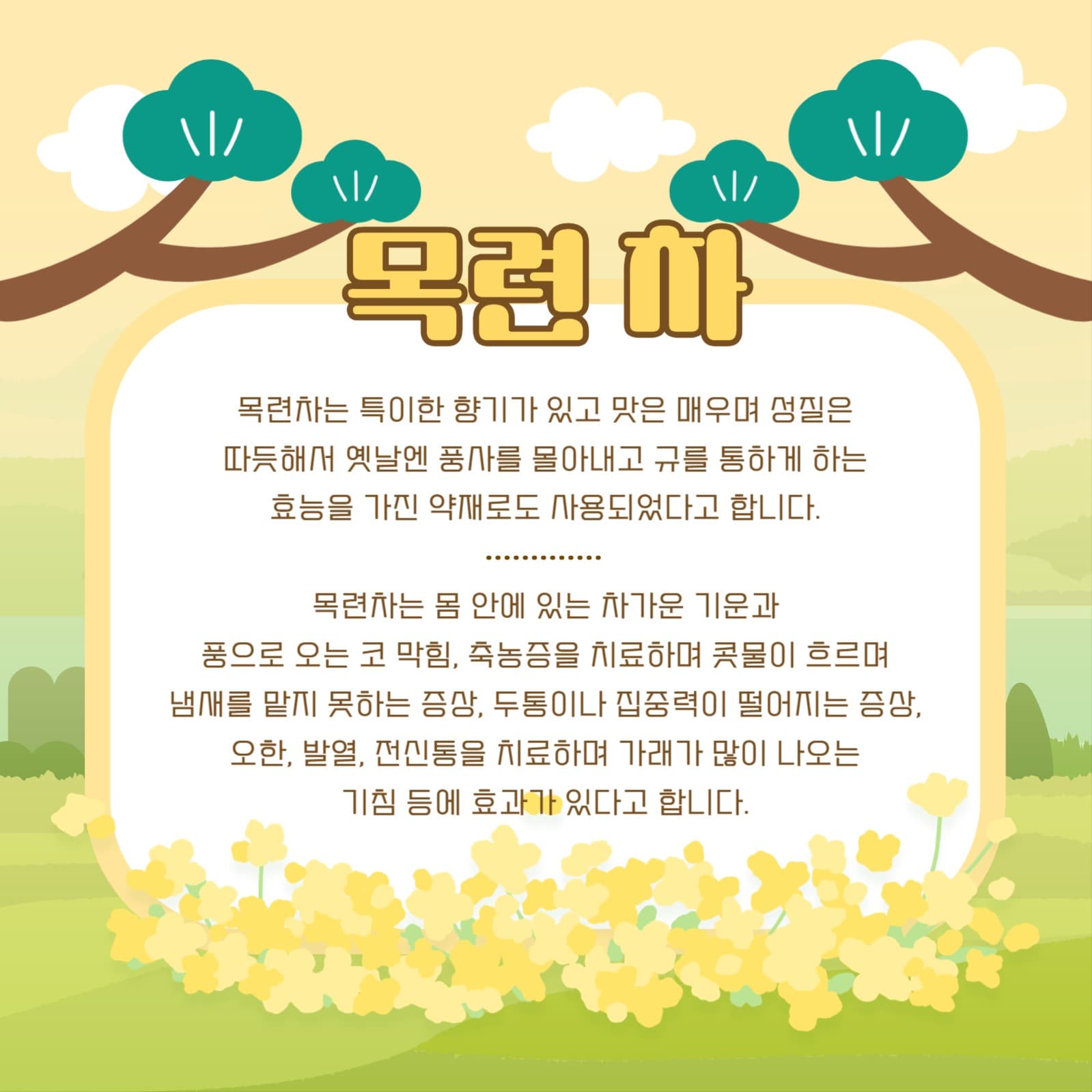 꽃 차의 효능