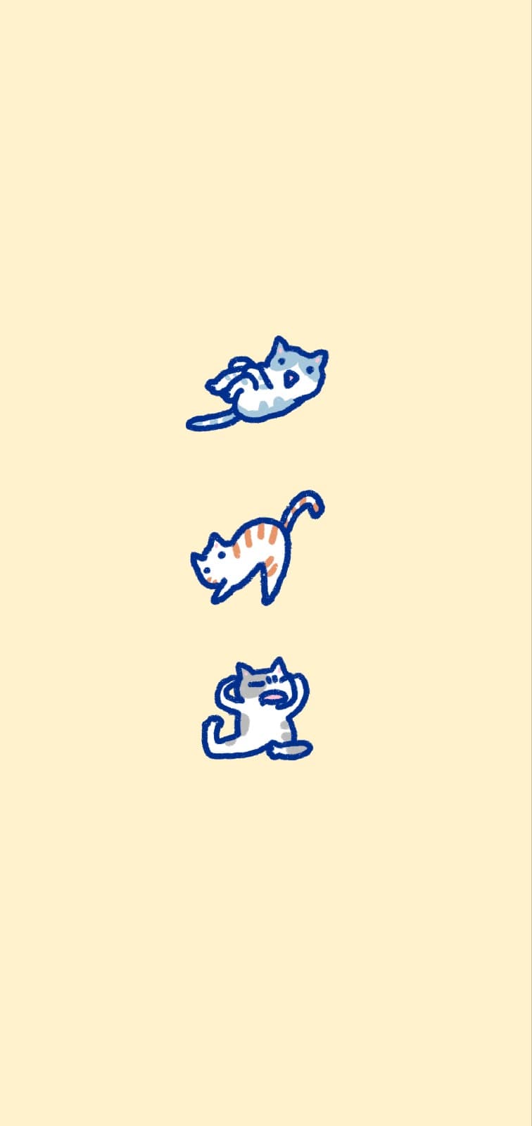 요가냥