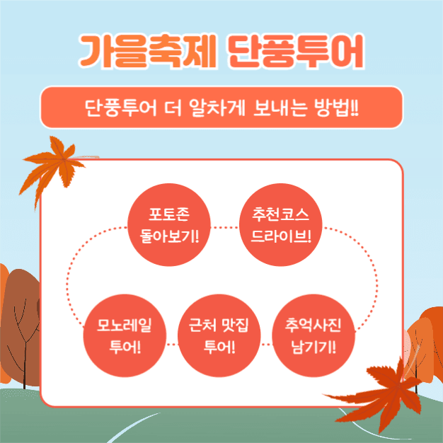 가을축제 단풍투어 (카드뉴스)