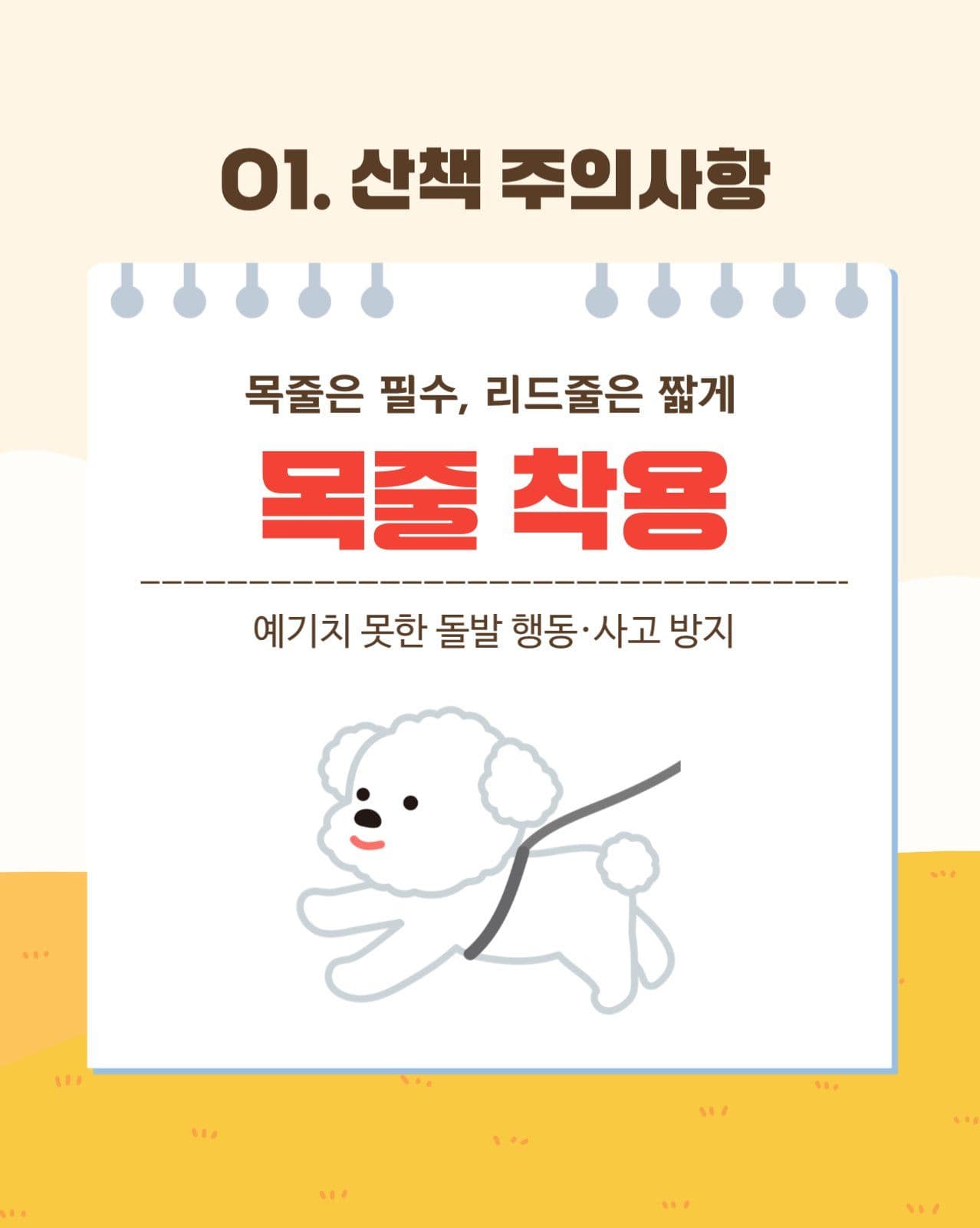 귀여운 반려견 산책 주의사항 카드뉴스