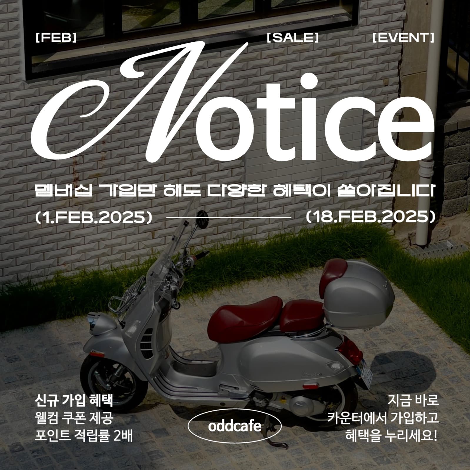 심플하고 트렌디한 카페 공지사항 홍보