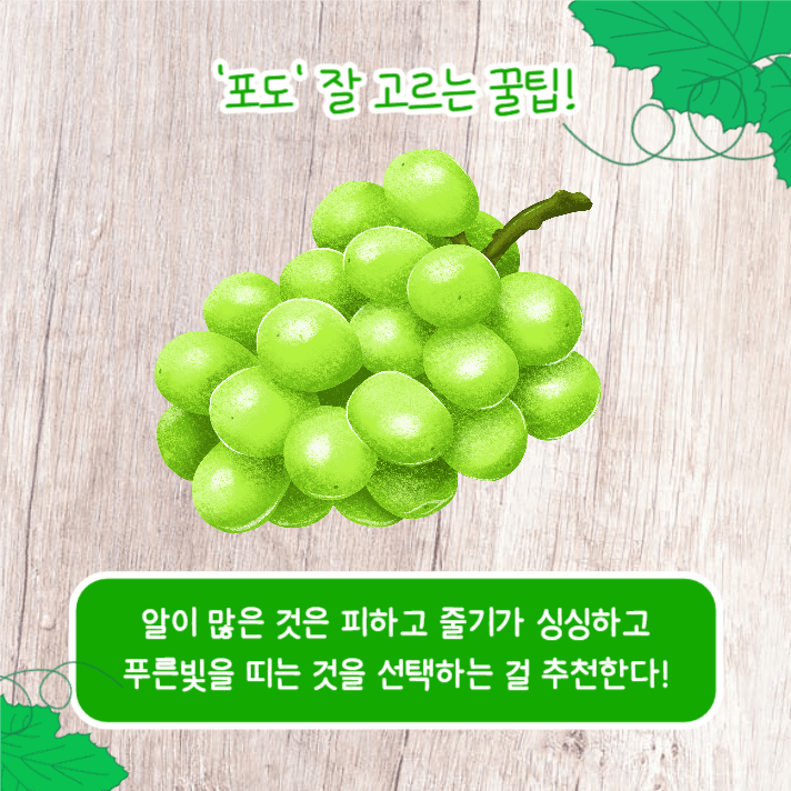 좋은 과일 고르는 꿀팁 (카드뉴스)
