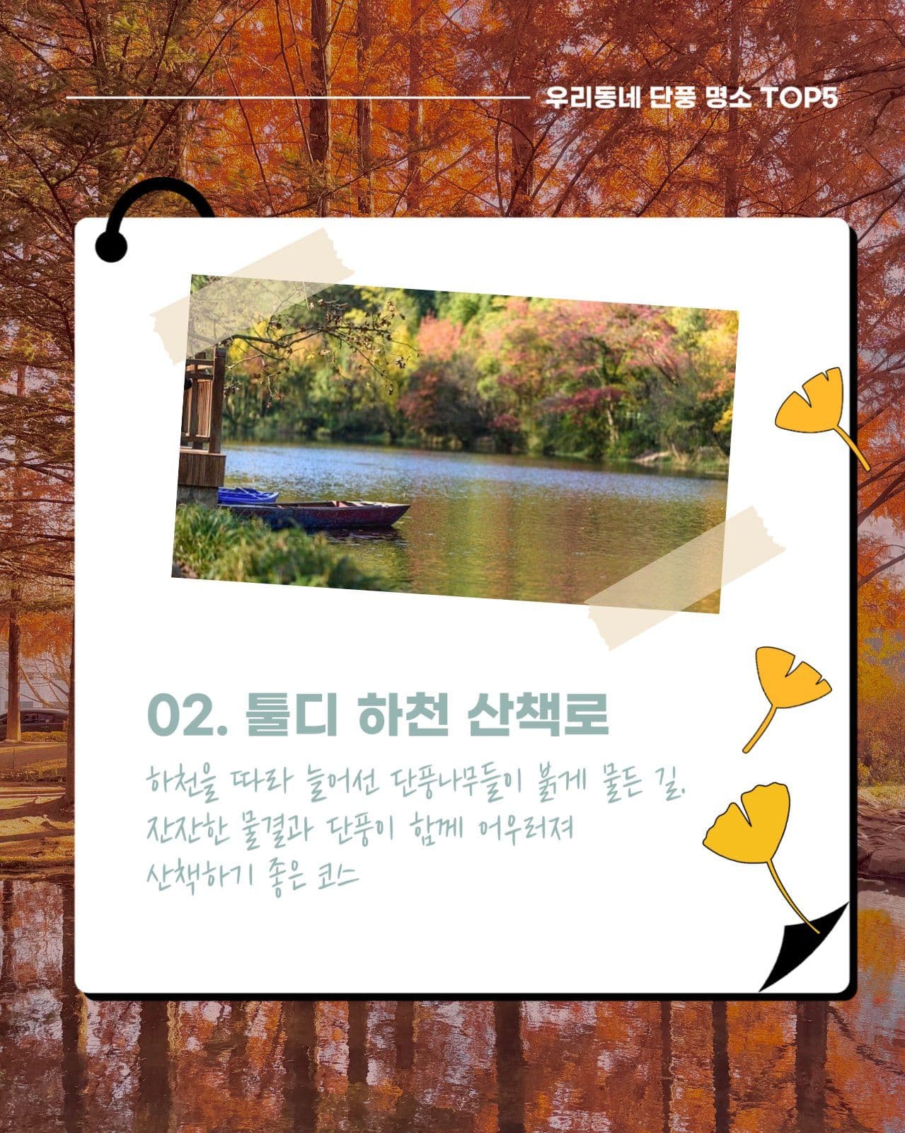 가을 단풍 명소 소개 카드뉴스