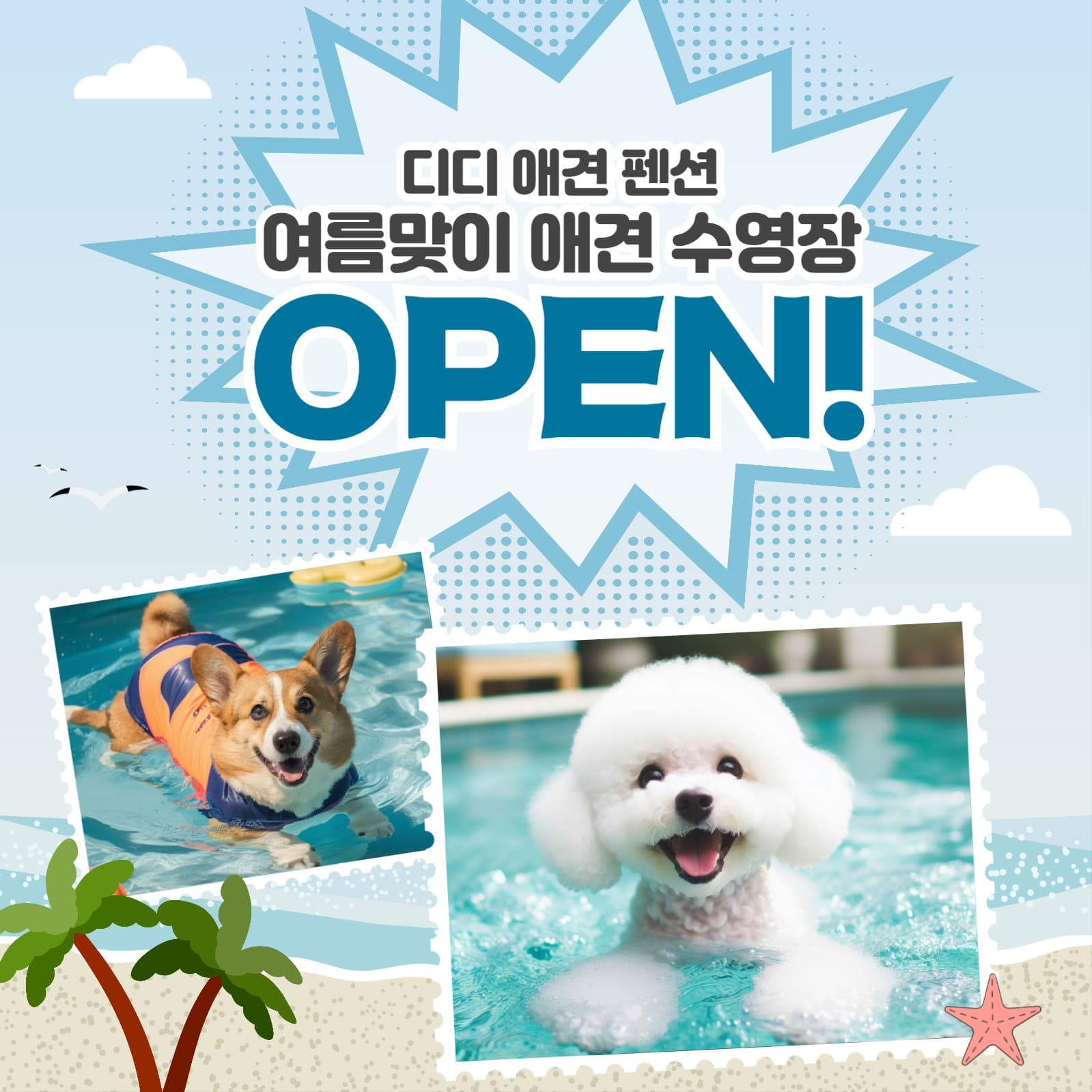 애견 수영장 오픈 SNS템플릿