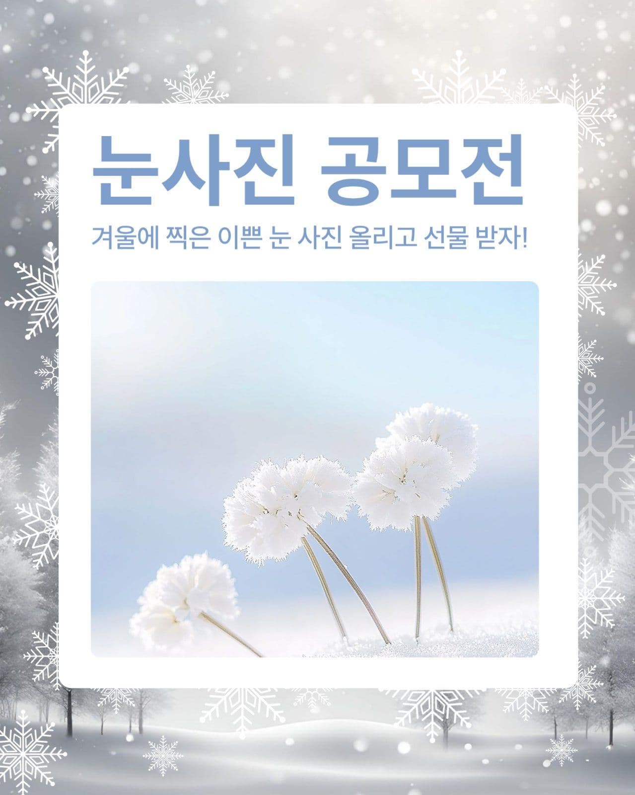 눈사진 공모전