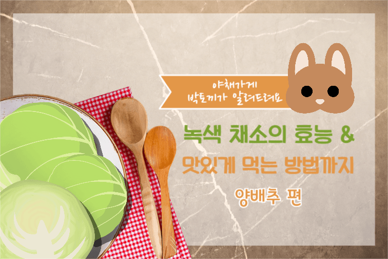 야채가게 박토끼 페이스북