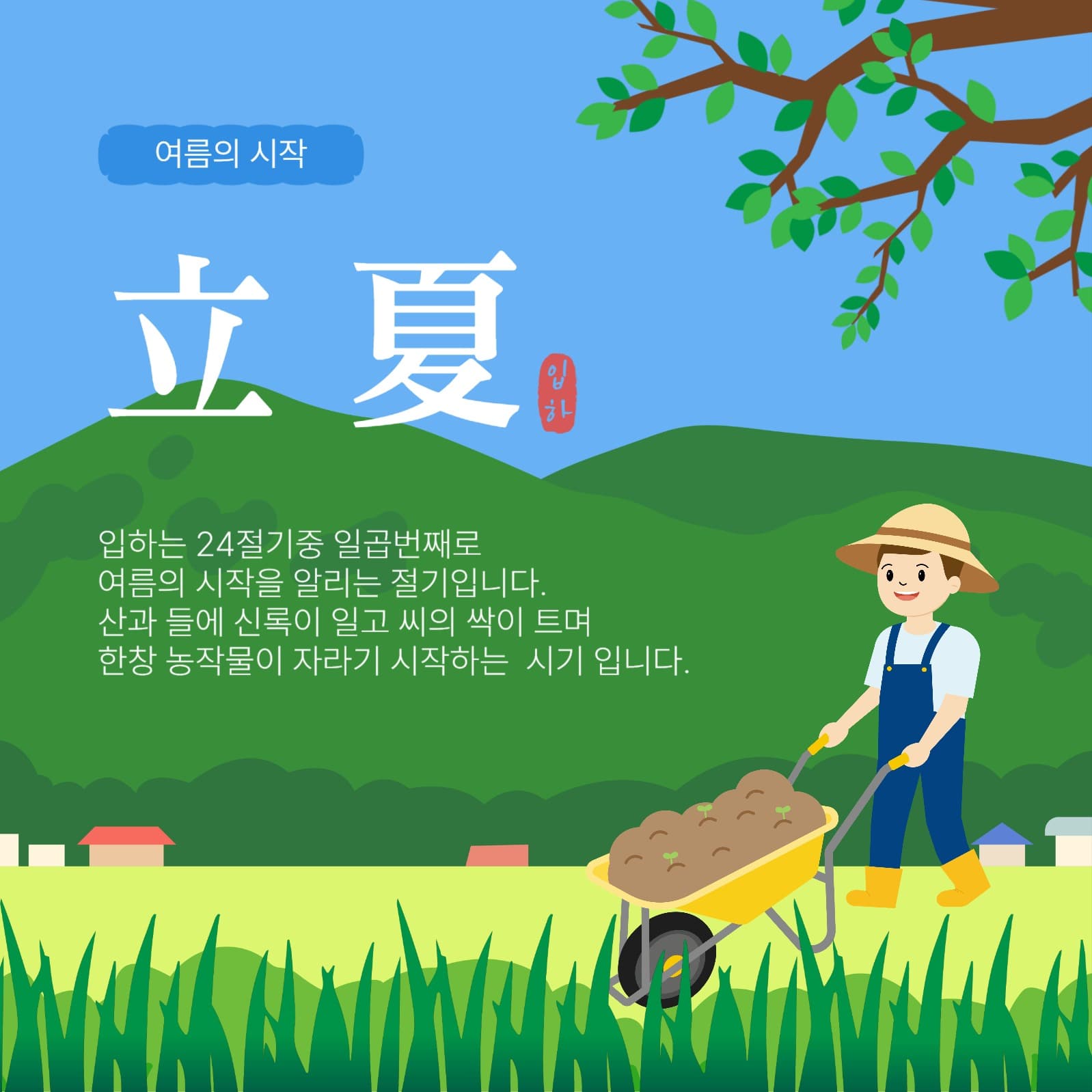 여름절기입하