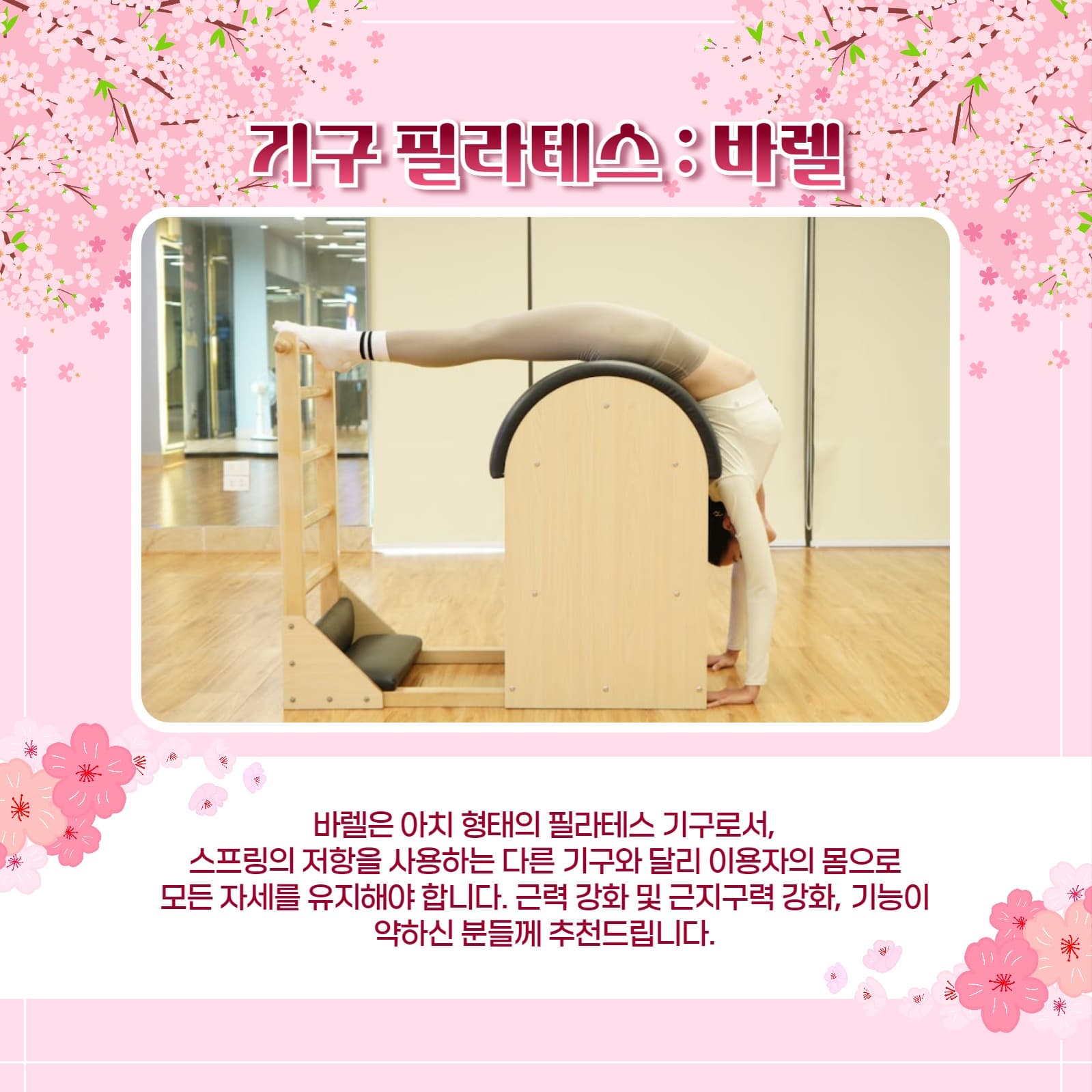 봄맞이 필라테스 카드뉴스