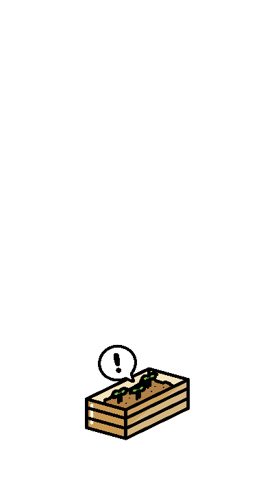 이고바바잼 새싹