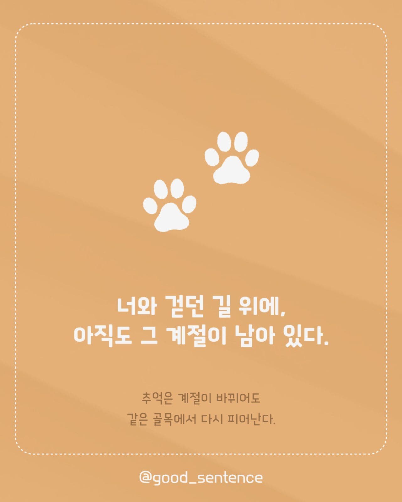 가을 감성 문장 카드뉴스