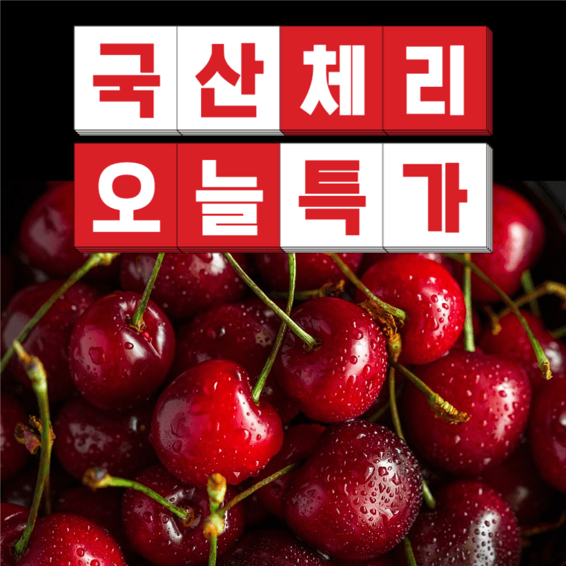 국산 체리 오늘 특가 인스타그램