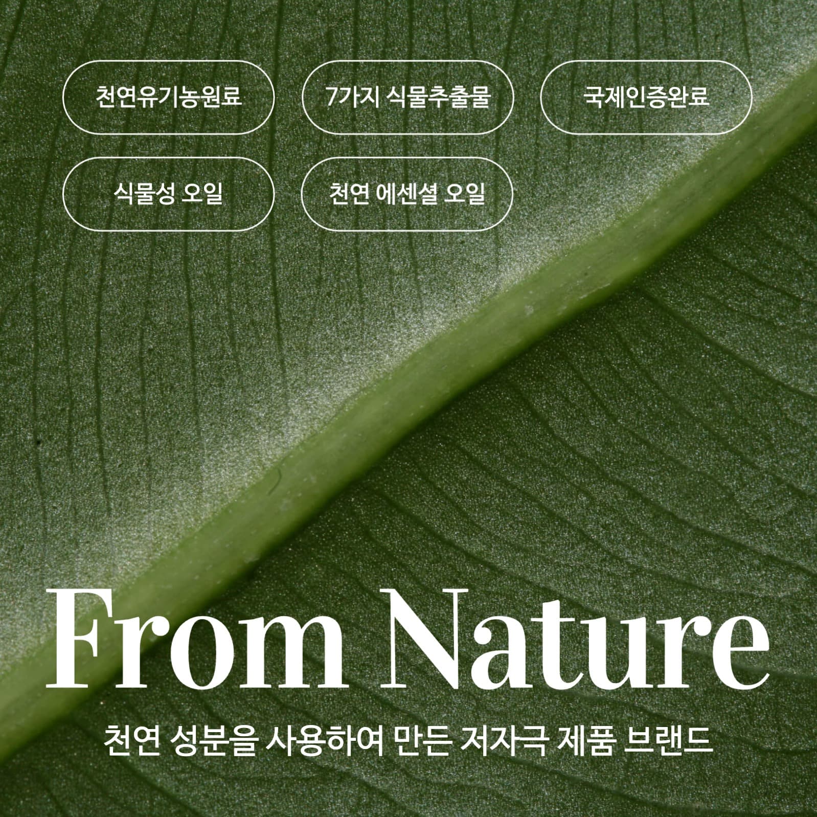 초록색과 흰색의 심플한 재료성분