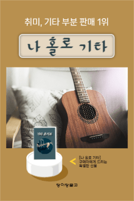 나 홀로 기타
