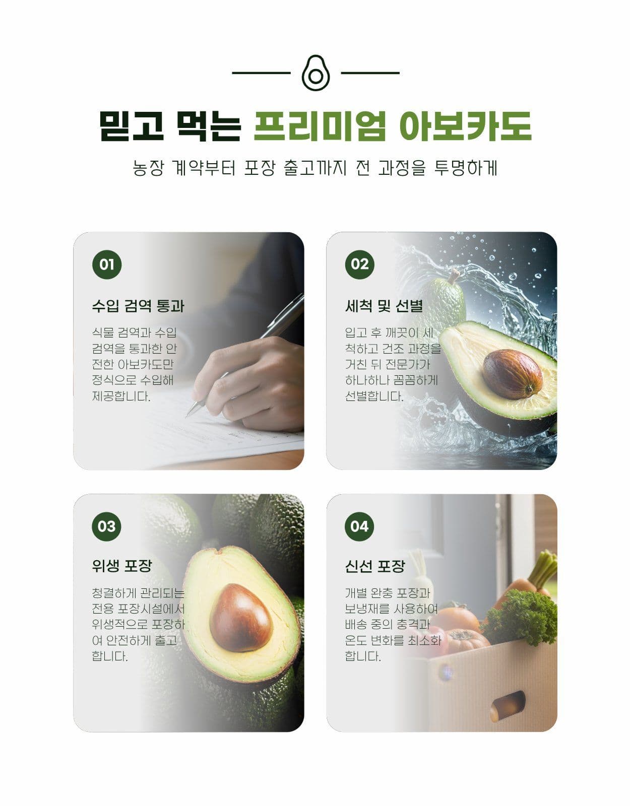 아보카도 과일 신선식품 상세페이지