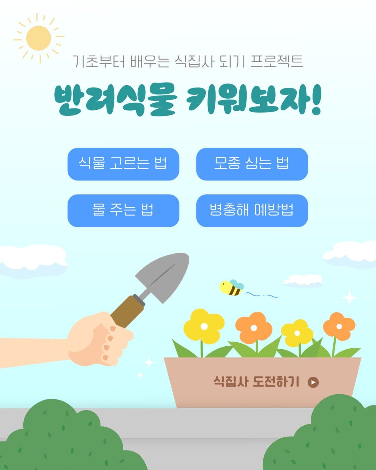 반려식물 건강하게 키우는 방법